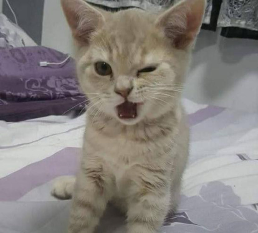 OH MY GOD MY TWO FAVORITE THINGS IN THE WORLD ARE COLLABING WHAT??? 

KATSEYE X VALORANT GAME CHANGERS HELLOOO??? 

 YAYYYYYY RAHHHHHHHHH