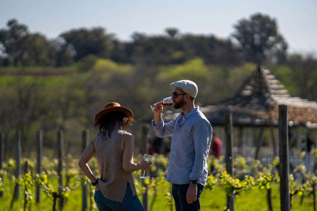 ¡Atención amantes del vino!
La Bodega Gamboa presenta la 5.ª edición del Encuentro Federal de Vinos. Más de 50 bodegas, gastronomía, música en vivo y una experiencia única al lado de Buenos Aires.
👉 Conocé todos los detalles: vinosypasiones.com/2025/11/06/bod…