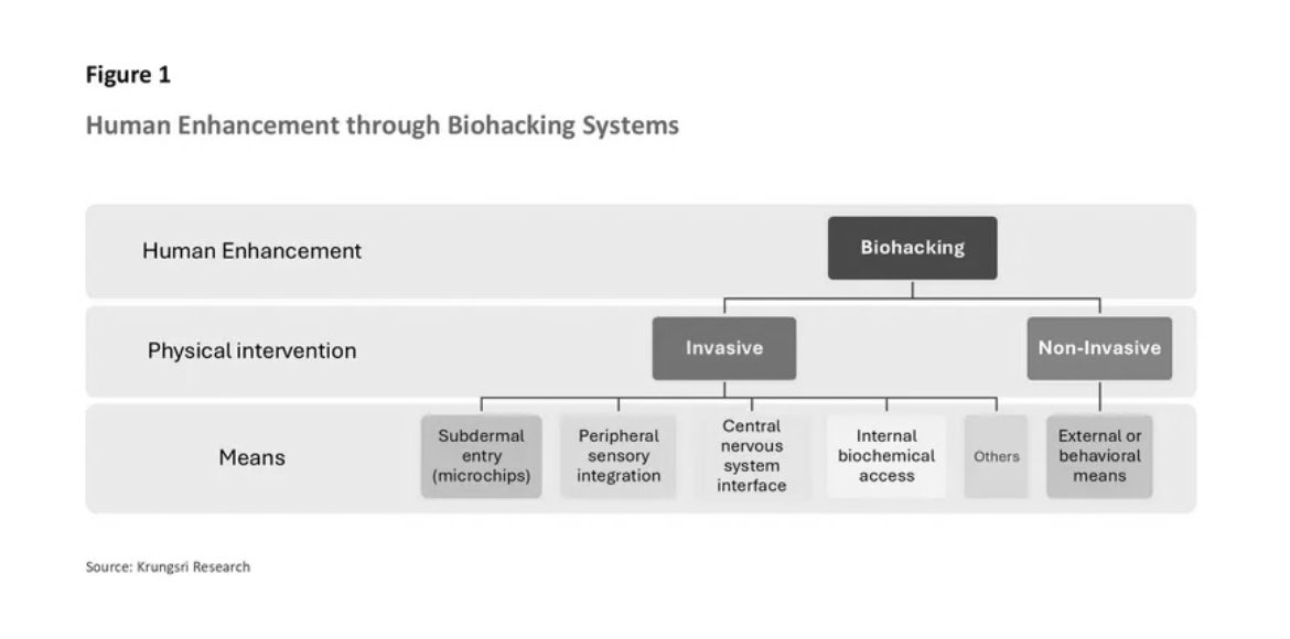 mcne73001's tweet image. Enhancing Human Potential through ‘Biohacking’
 #Biohacking 
Biohacking refers to a structured process in which individuals experiment with modifying their bodies and behaviors using knowledge, inventions, or technologies from various scientific disciplines, with the aim of…