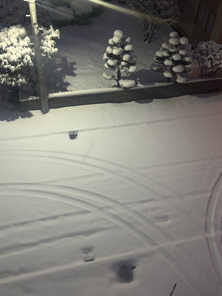 いよいよ、、、

#雪
#冬
#札幌