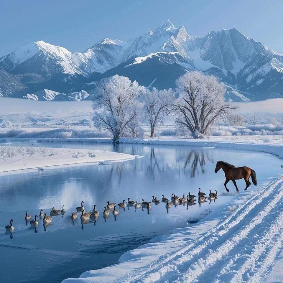 Өглөөний мэнд