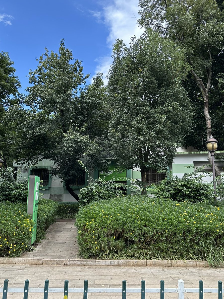 口算达人（鸟洞版） tweet media