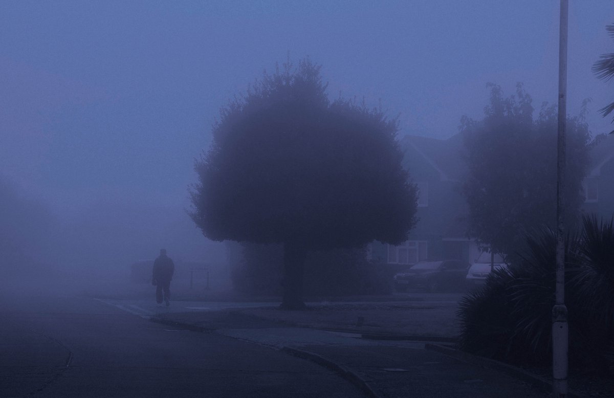 zosphotos's tweet image. Shades that are easy on the eye