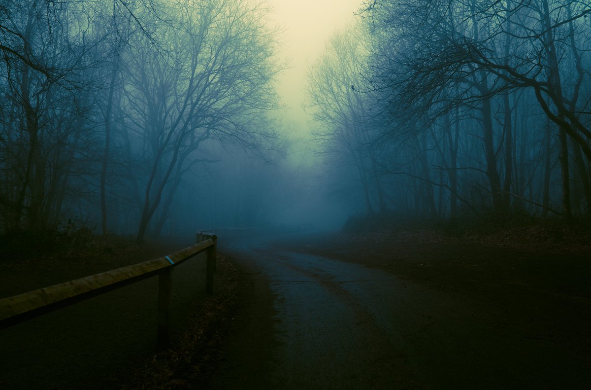 zosphotos's tweet image. Shades that are easy on the eye