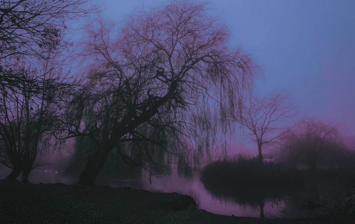 zosphotos's tweet image. Shades that are easy on the eye