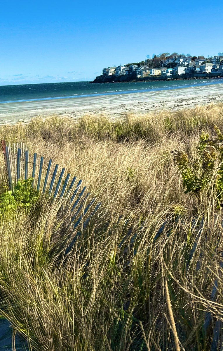 fxwright's tweet image. #fence