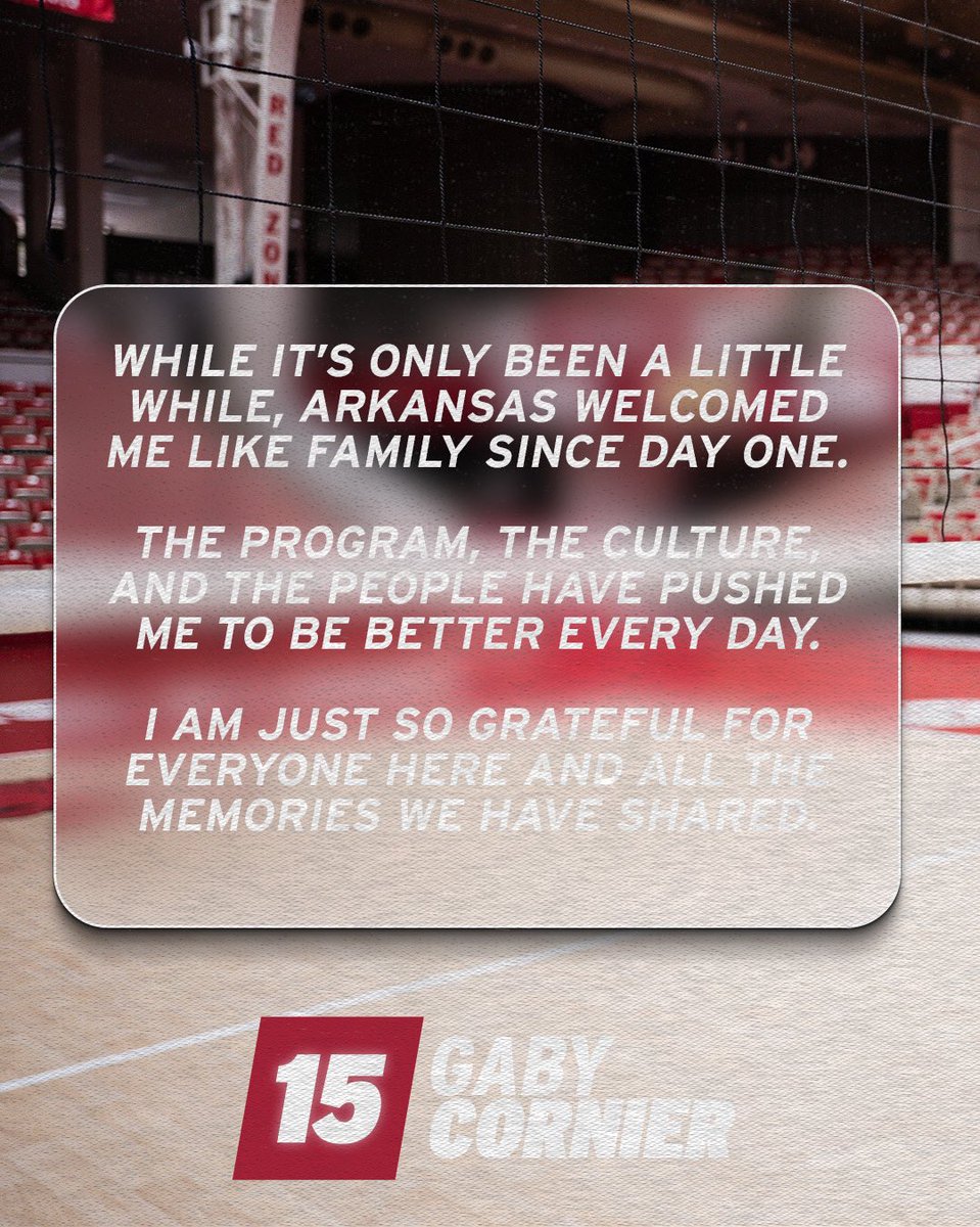 Razorback Volleyball tweet media