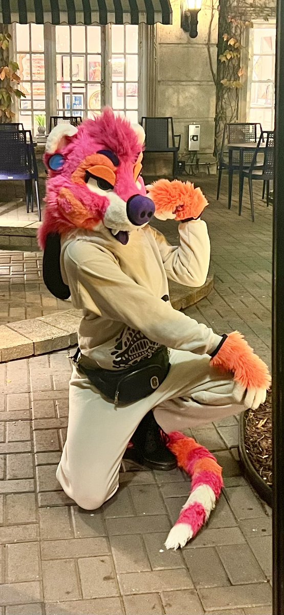 oh its #fursuitfriday again
