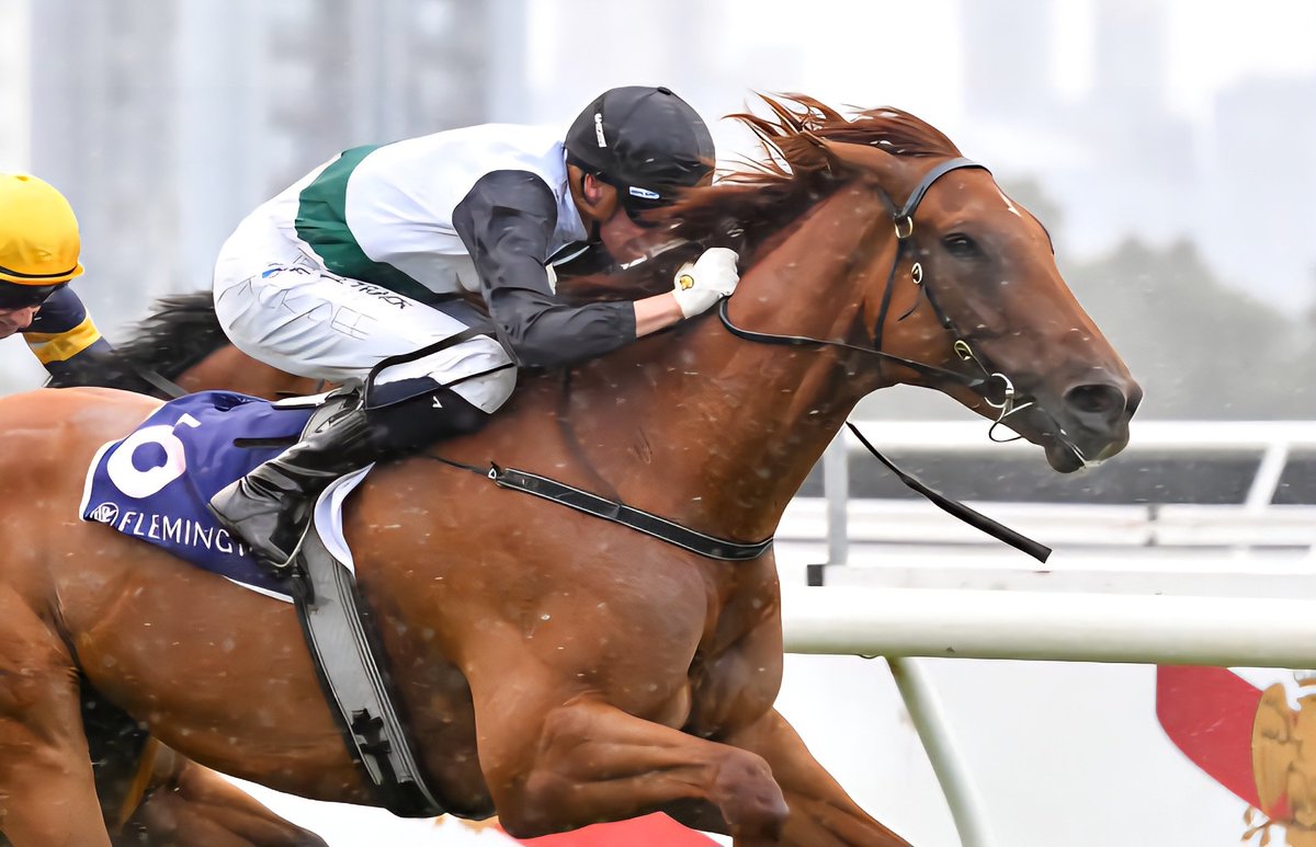 SimmsTroy78's tweet image. What a day ahead! Fly up to Syd to watch Risey in the main event at Rosehill in the five diamonds. Rippa is backing up in R2 at Flem although unfortunately drawn the carpark. Then its a mad dash back from Sydney to marvel to see Metallica 🤘 #fivediamonds
#rosehill #flemington