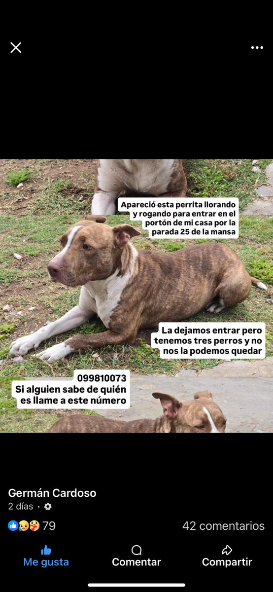 Adriana (@adriana43587622) on Twitter photo 