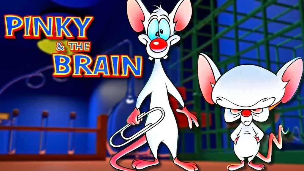 emceeDcent's tweet photo. @Teeniiola Pinky and the Brain https://t.co/v95EDMZT3A