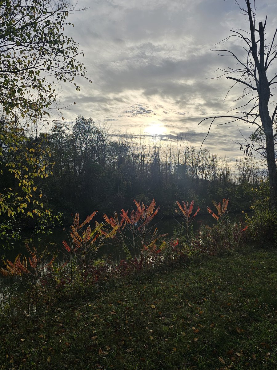 pass_ev's tweet image. 