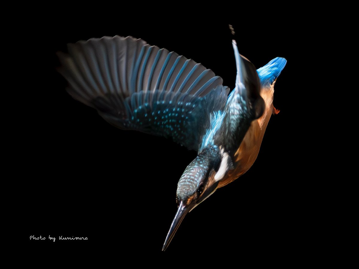 くにすら (@9960hiro) / Posts / X