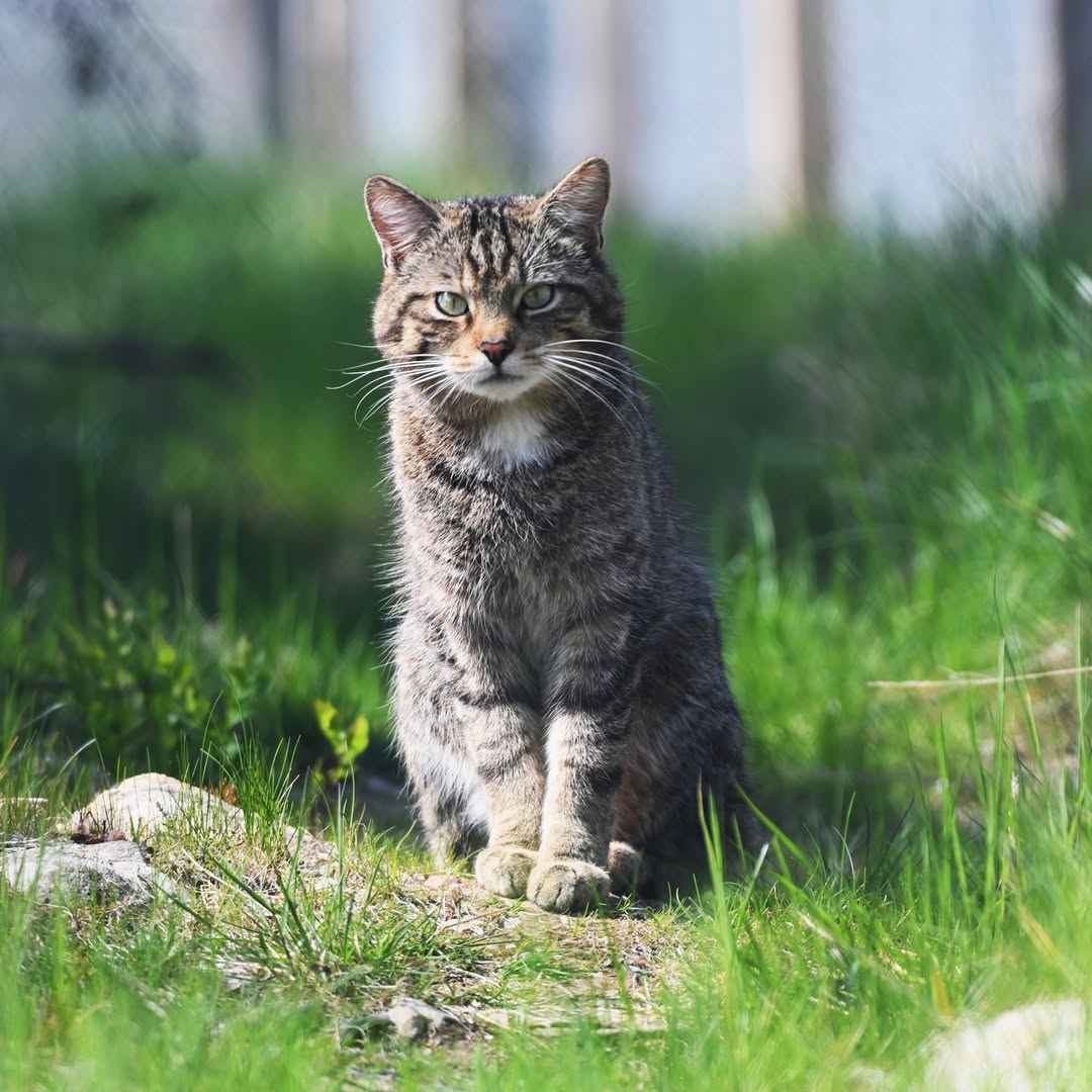 🌴 Vagrant 🌴 (@VagrantTravels) on X