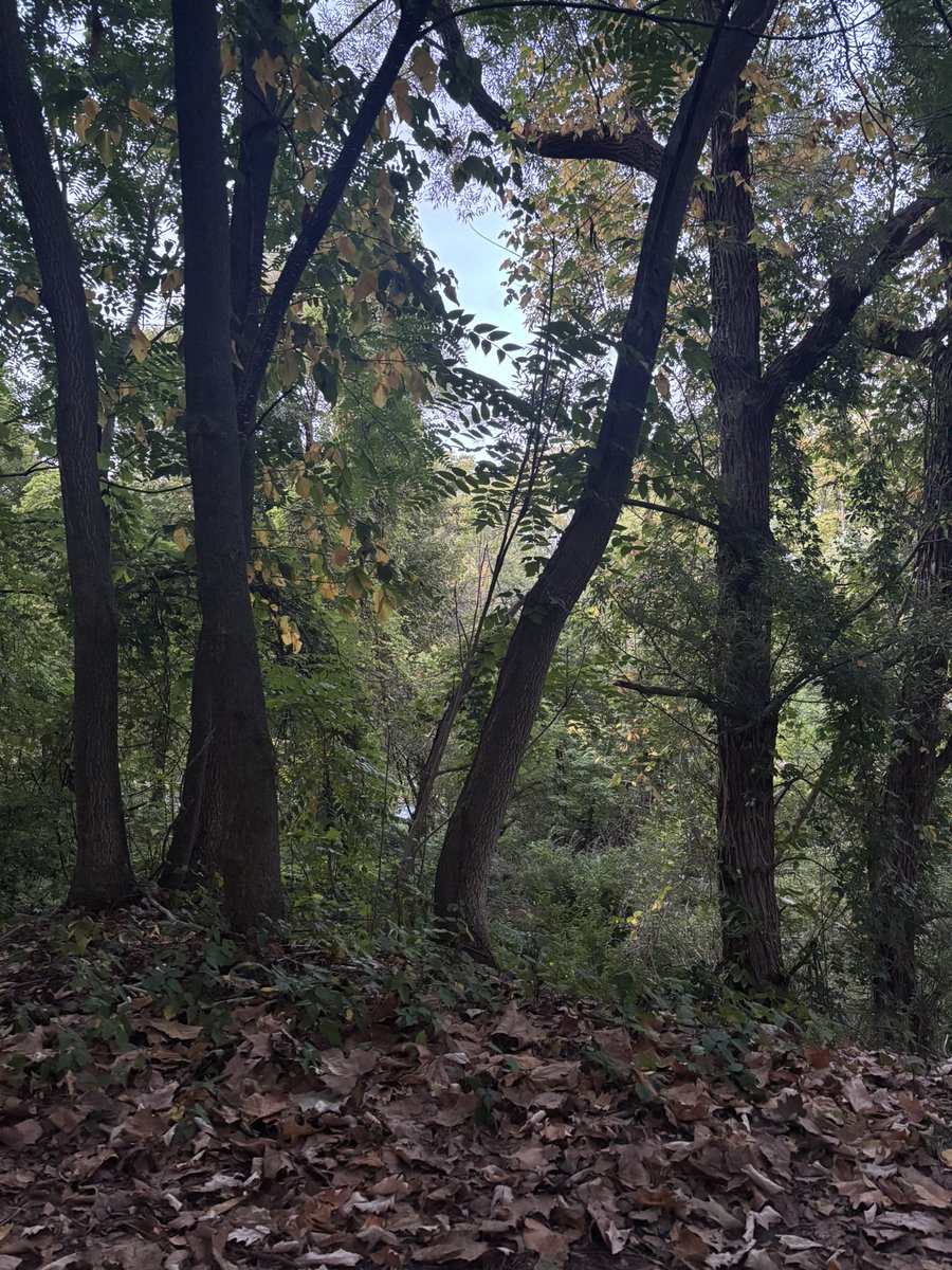 @ (@cloudygirl222) on Twitter photo 