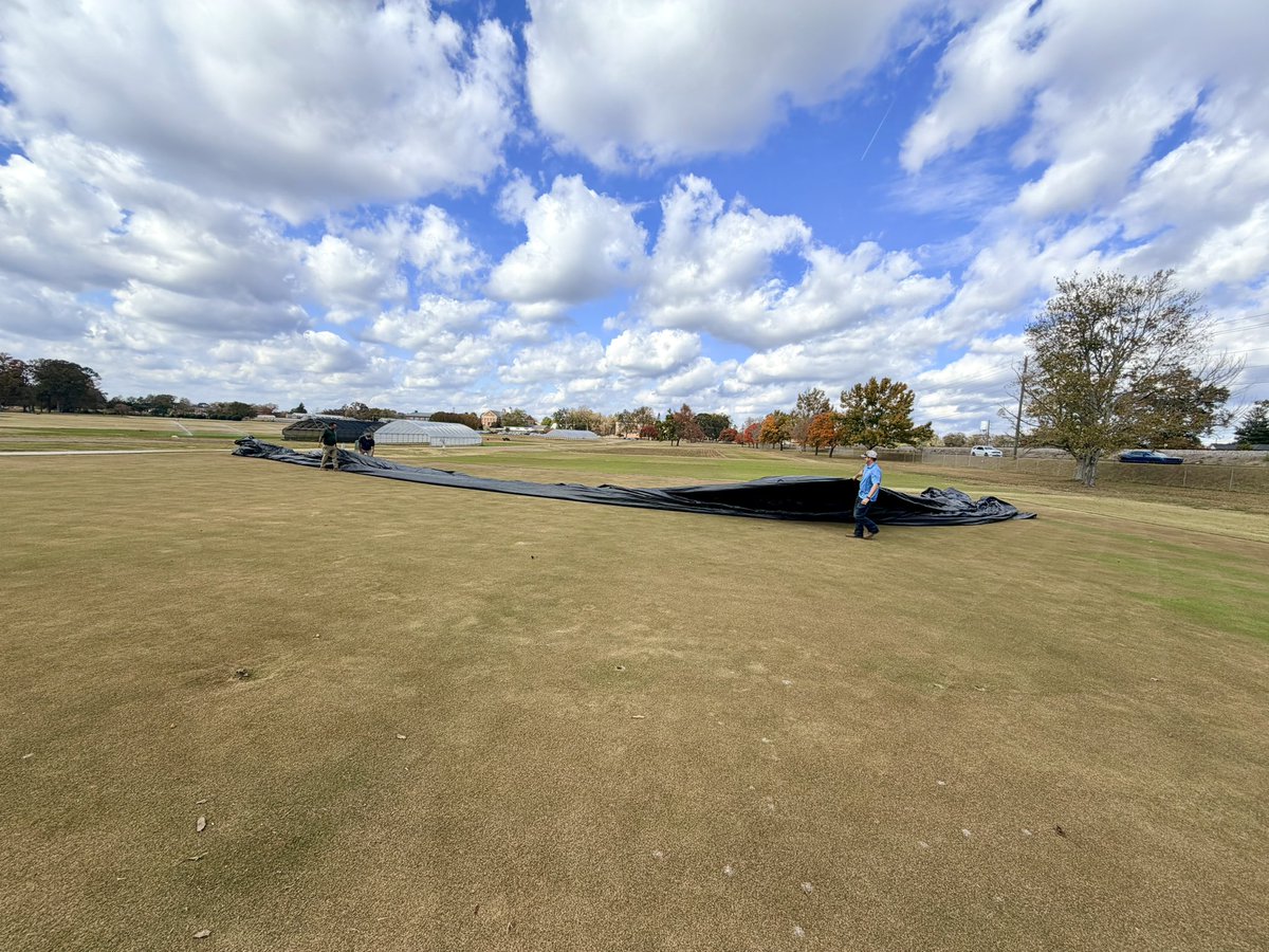 PhillipVines's tweet image. Good night! See you next year!