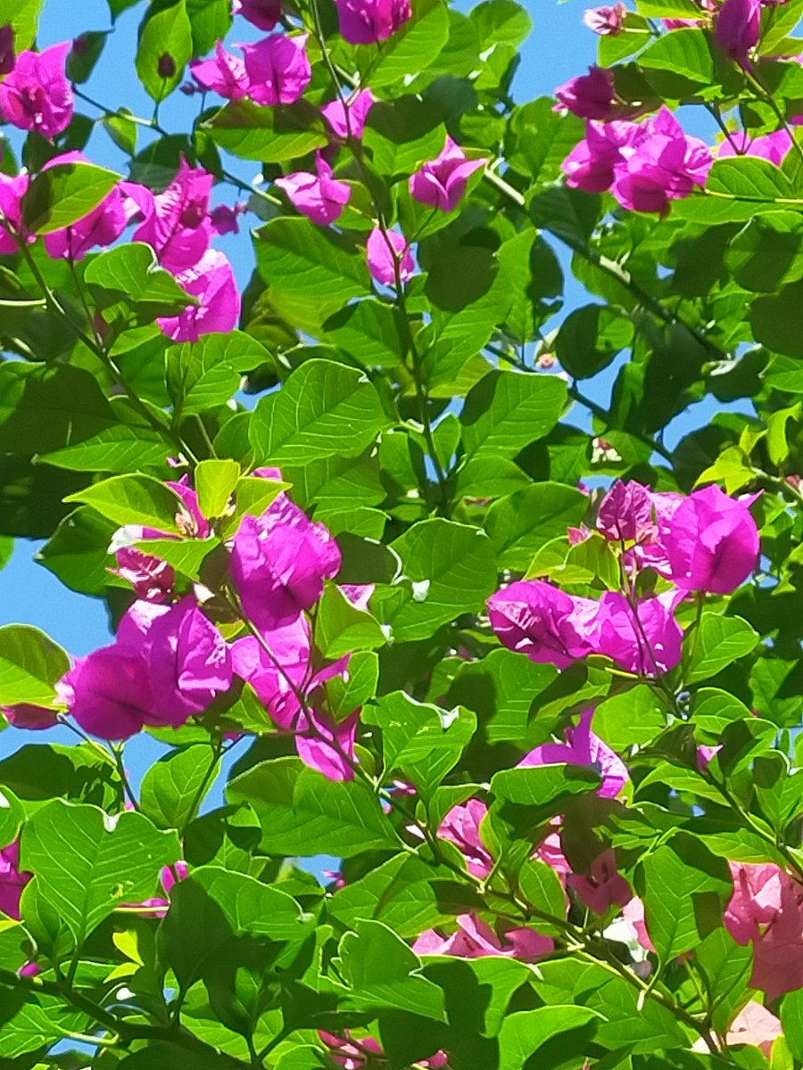 可南子みなみ (@D0eYebUZseXbSB6) / Posts / X