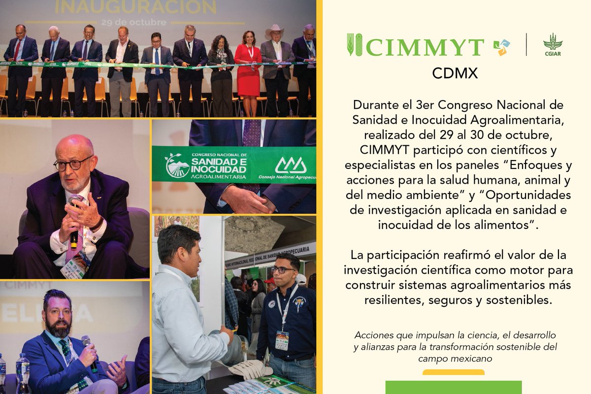 Ciencia, Inocuidad y Clima: CIMMYT impulsa la agenda de transformación. 🔬🌱

Nuestros investigadores participan en:
#CongresoSanidadEInocuidad aportando ciencia para alimentos seguros.
Foro de Recarbonización para incluir a pequeños productores en #MercadosDeCarbono.