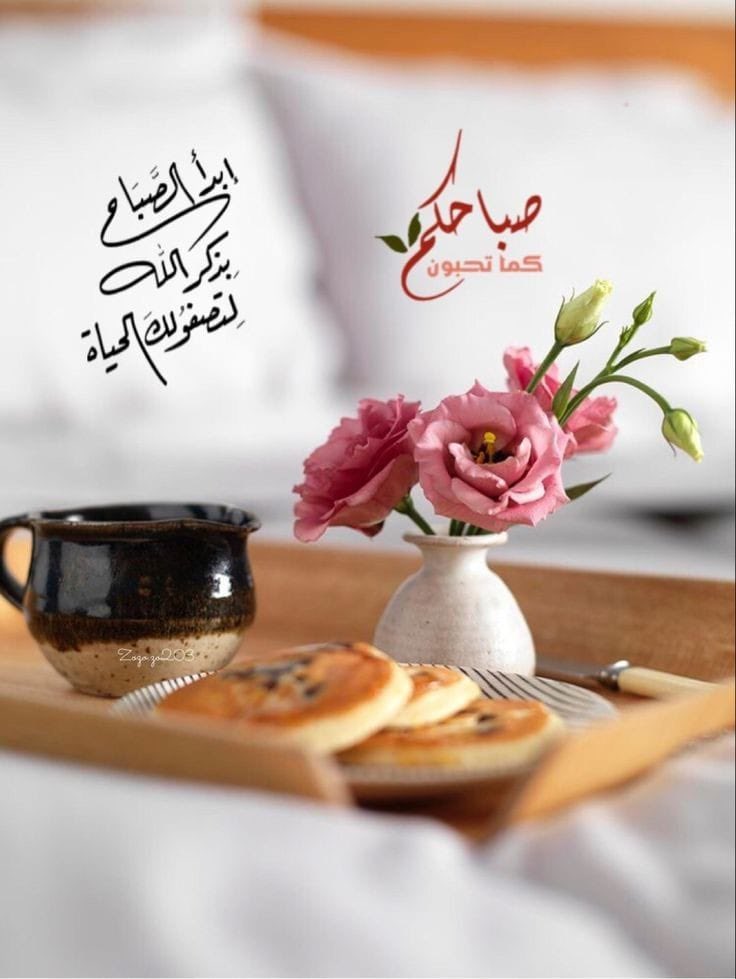 اللهم ﺟمّل صباحنا بذكرك وعفوك وتوفيقك وبركتك ورضاك عنا ..
اللهم بك أصبحنا و عليك توكلنا ﻭأنت خير الحافظين
🤍