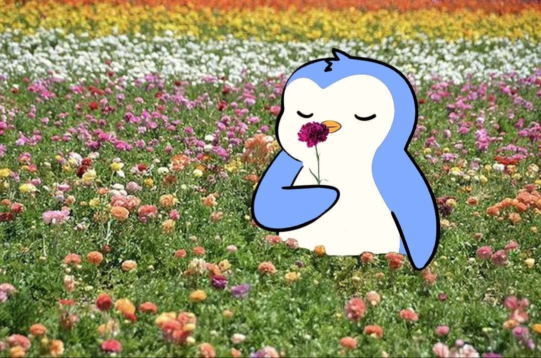 gm