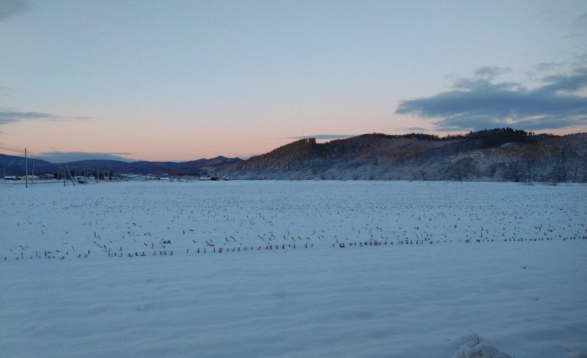 おはようございま〜す☕
一晩で白いくなりました〜❄️
今日は　孫の学芸会なので見に行こうと思います😊

お仕事の方　頑張ってください
お休みの方　楽しんでください

今日も素敵な1日でありますのうに〜✨🍀✨