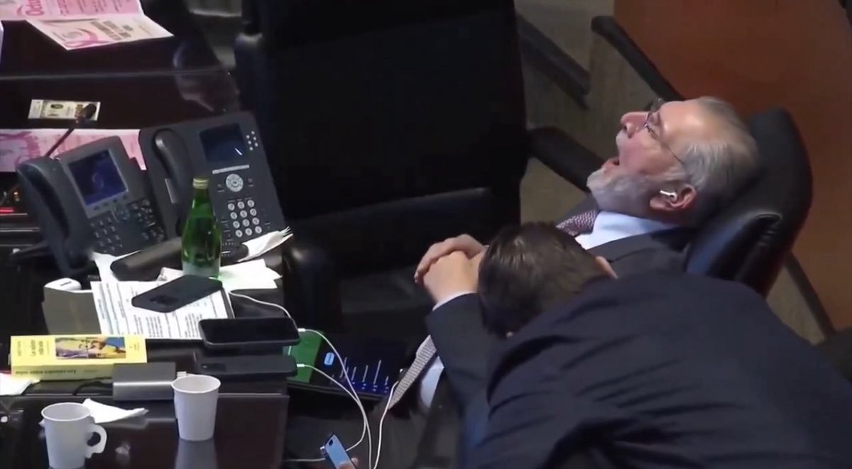 Ahí están: roncando en el Senado mientras México se desmorona.
Adán Augusto y compañía, dormidos en cuerpo y conciencia.
La “transformación” terminó siendo una siesta pagada con dinero público.