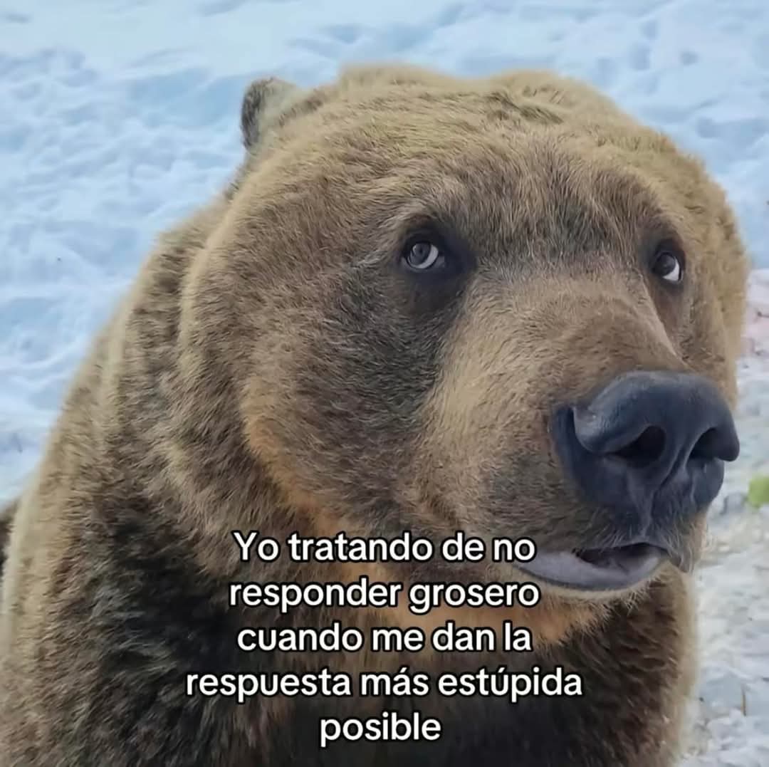 M O T I V A N D O T E (@m0tivand0te) on Twitter photo 