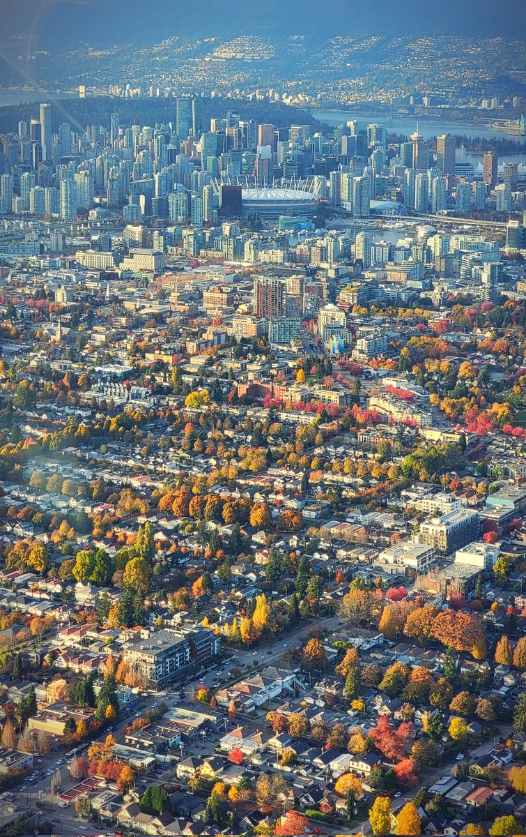 TrishJewison's tweet image. Friday afternoon photo dump around #Vancouver 📷🍂🚁