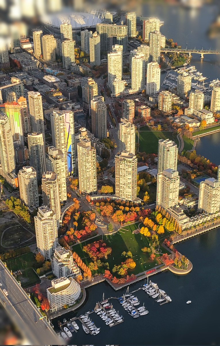 TrishJewison's tweet image. Friday afternoon photo dump around #Vancouver 📷🍂🚁
