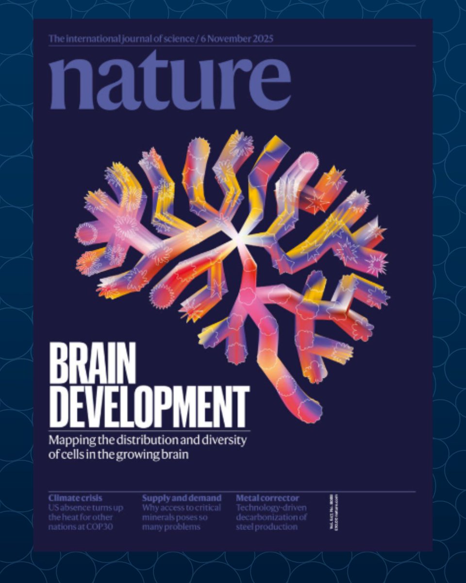 The developing brain? Yeah, we have it covered.

The first brain cell atlas of the developing mammalian brain is now available to curious minds and researchers everywhere.

Check out the findings in <a href="/Nature/">nature</a>: nature.com/collections/gj…

🎨 Cover art by Jasiek Krzysztofiak