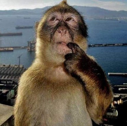 Despicable who.. Me??..