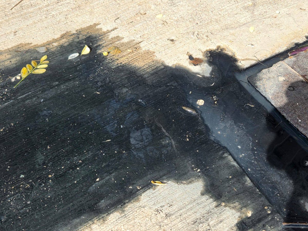 CANCUN VIVE tweet media