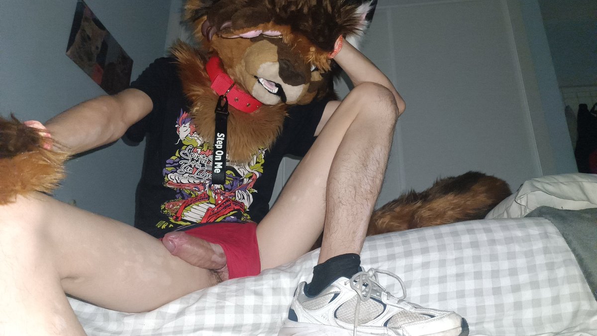 AfterPurr's tweet photo. No fancy lights, no expensive clothing brands. Just me. 

#fursuitfriday #MurrSuitFriday #murrsuit https://t.co/NNfJmOlTGv