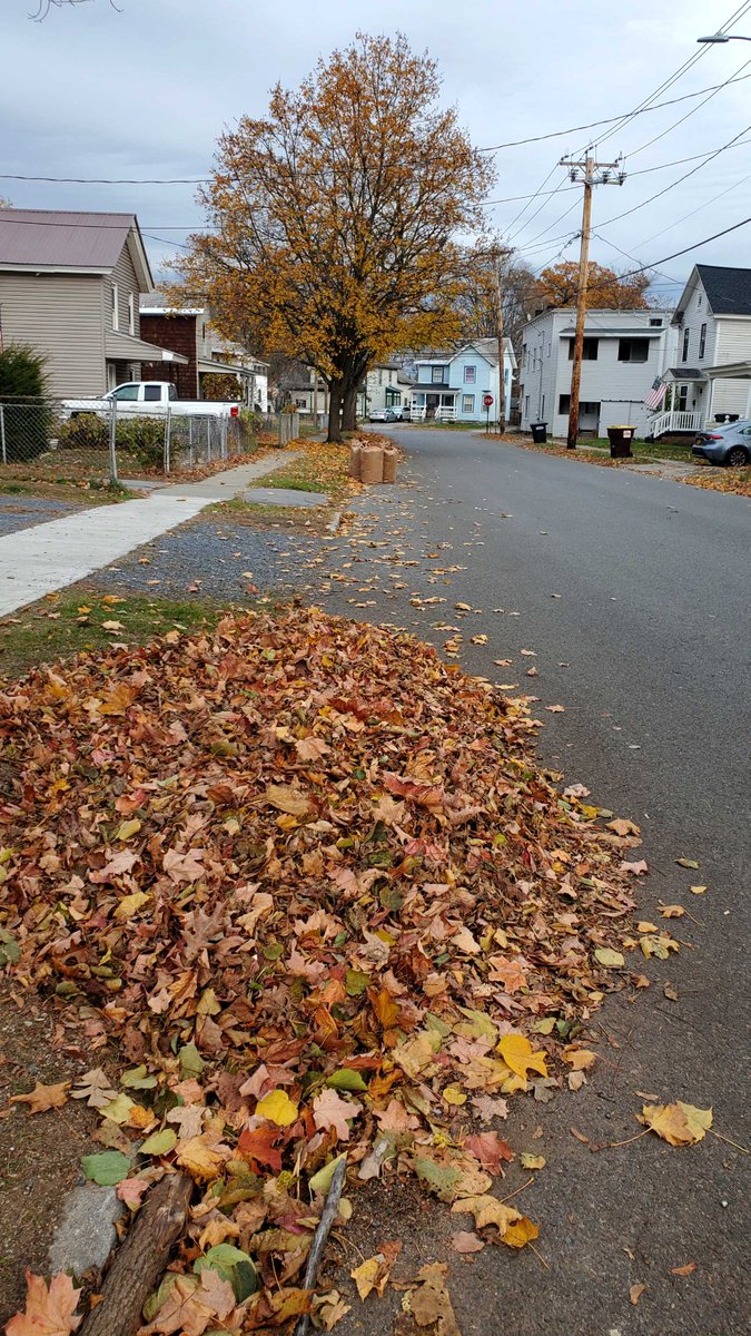 WebVideoVoice's tweet image. Your brand deserves to shine this weekend—and every weekend.
We don’t just capture moments…
We craft scroll-stopping stories that turn heads, spark shares, and fill inboxes.
🍂 Fall Imagery Ideas to Book Now:

Cozy coffee shop vibes: steaming lattes, cinnamon swirls, branded…