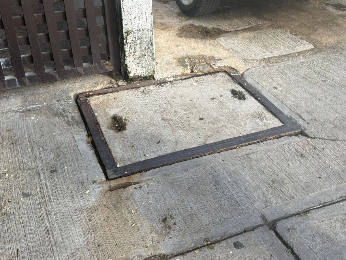 CANCUN VIVE tweet media