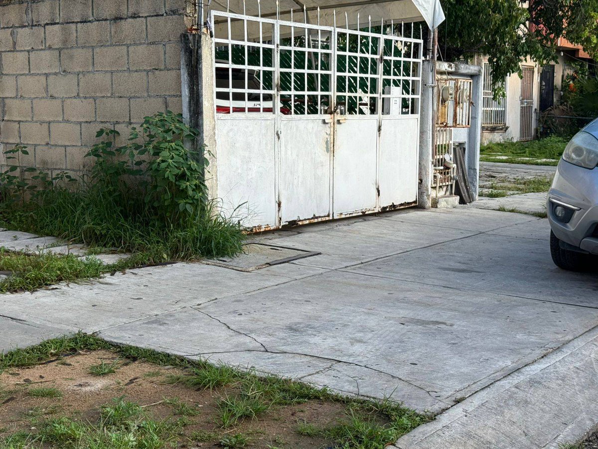 CANCUN VIVE tweet media