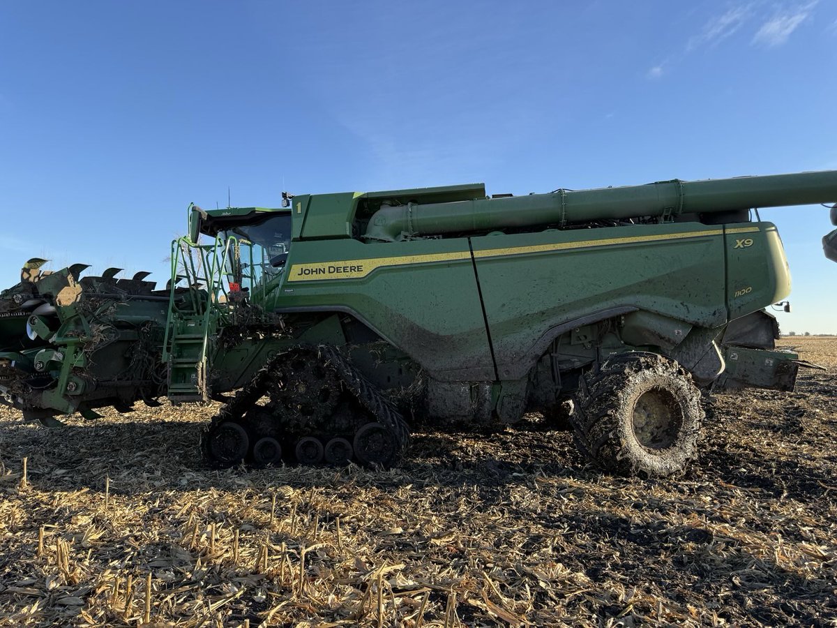 Corn harvest 2025 it was a year 🙏🙏