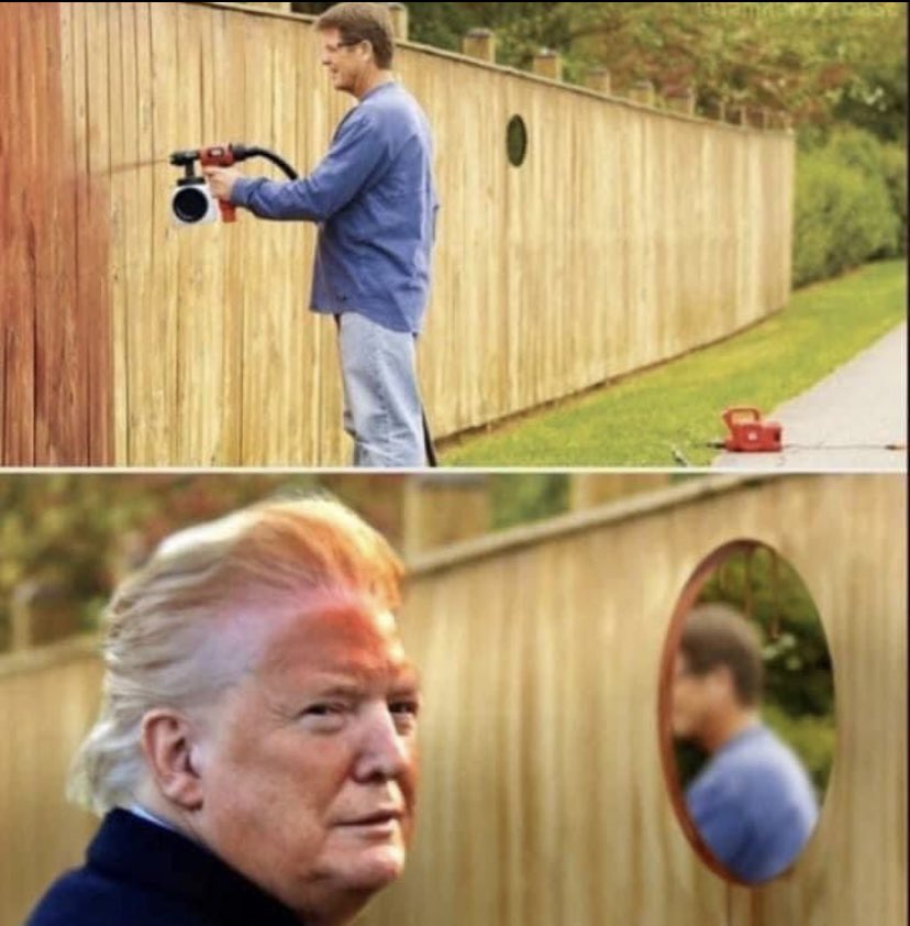 WeirdIsBetter's tweet image. 