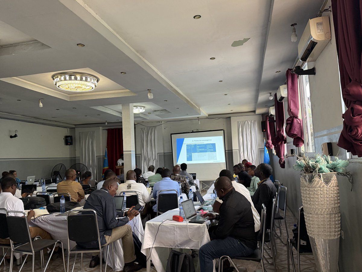 APEM RDC 1 tweet media