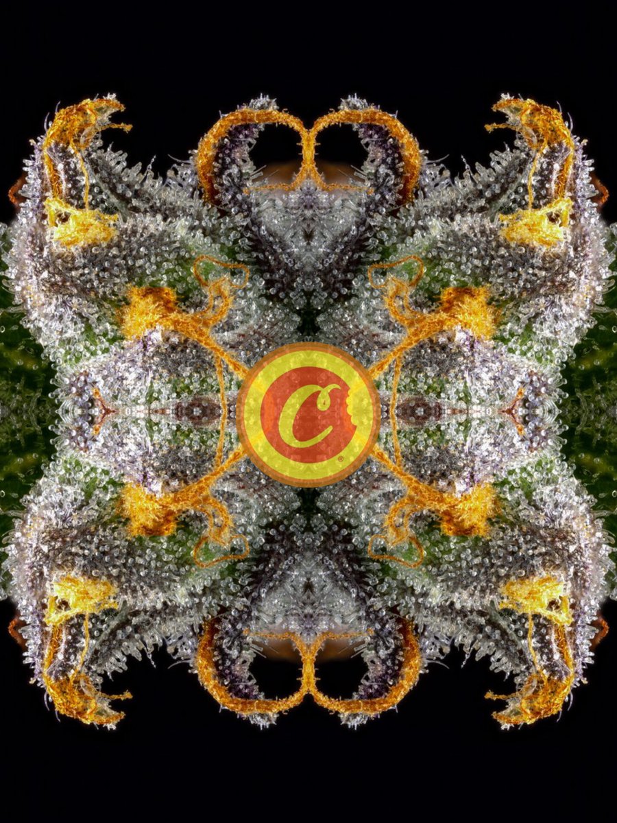 Skot Highafone🎖️ tweet media