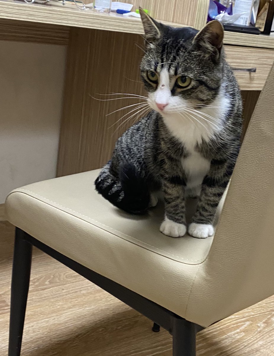 Benim yerimde gözü var galiba