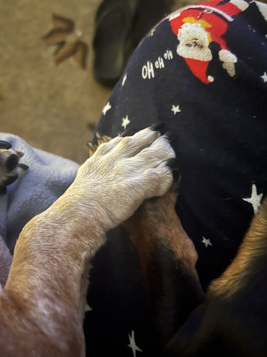 Holding paws 🐾 🥰 such sweet little babies ❤️❤️