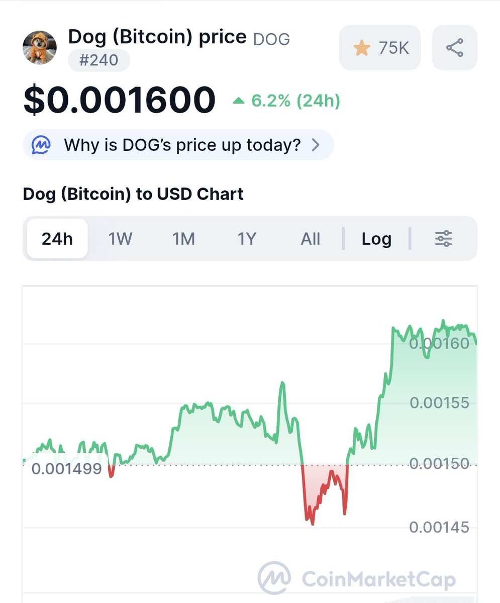 Don’t sleep on the top meme of the top chain 🫵

$DOG 🐕