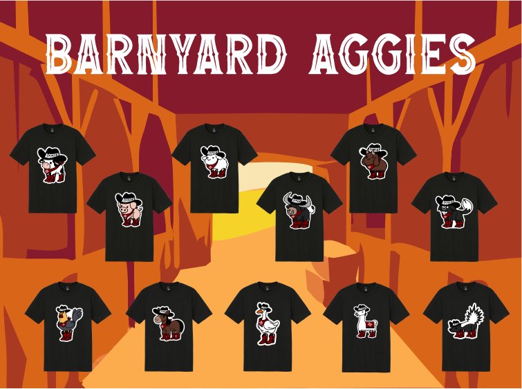 Sports Accessories tweet media