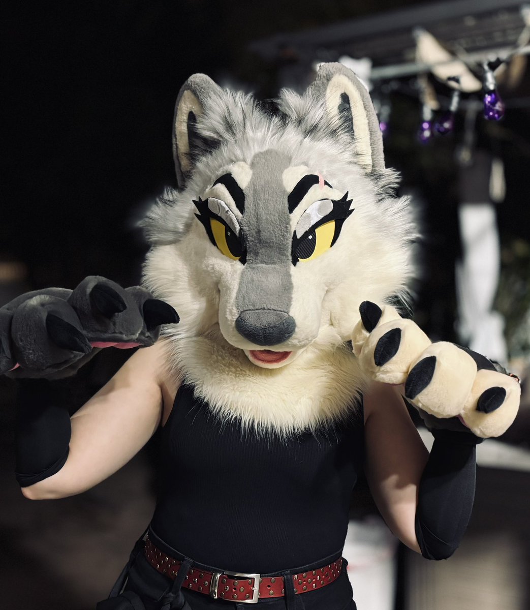 Whose afraid of the big bad wolf 🐺😘