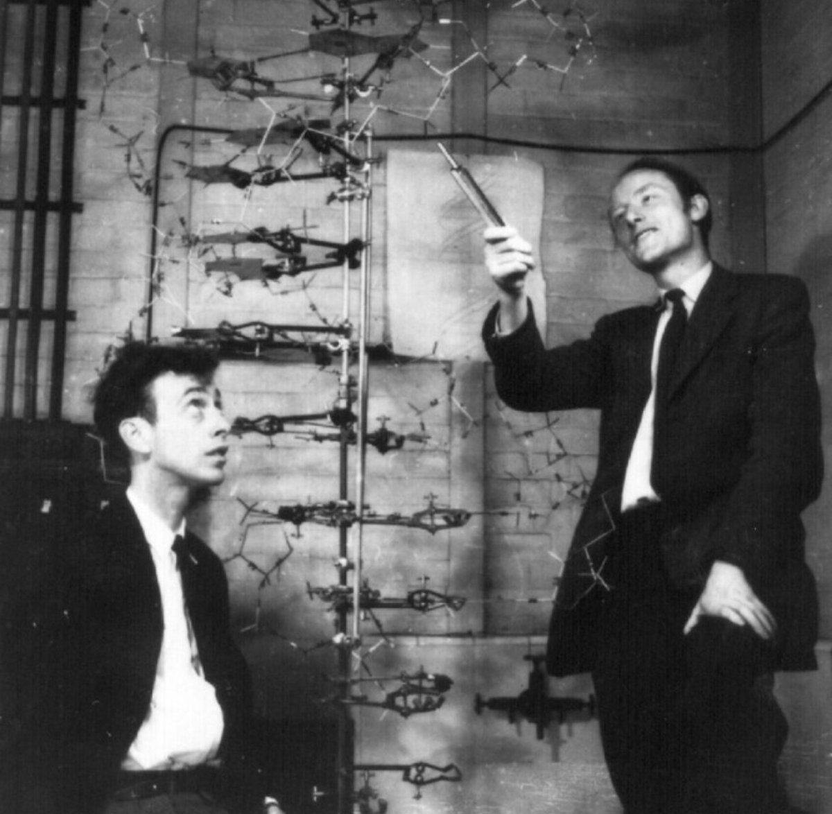 historicfootage's tweet photo. First photo of James Watson's and Francis Crick's double-helix DNA model. Taken May 1953. https://t.co/zCcwHLAayg