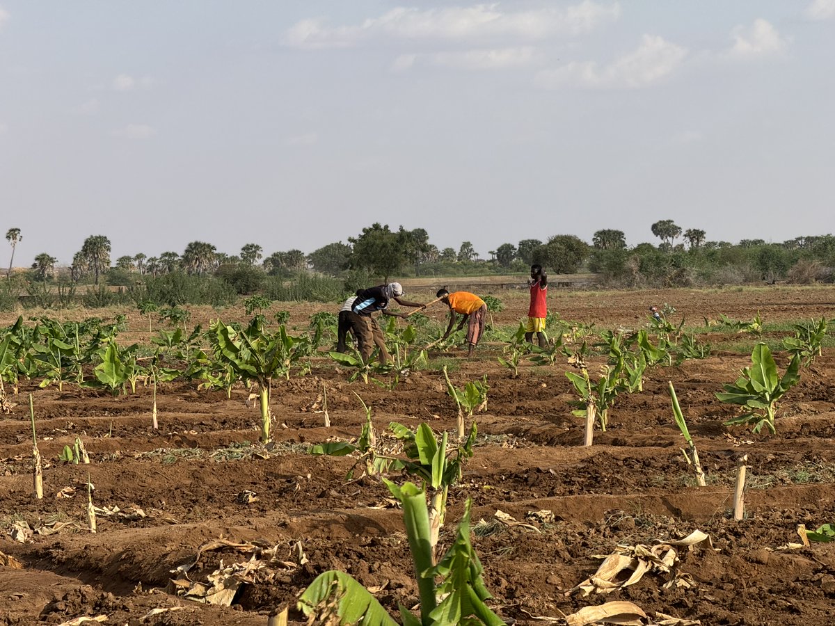 UN Development tweet media