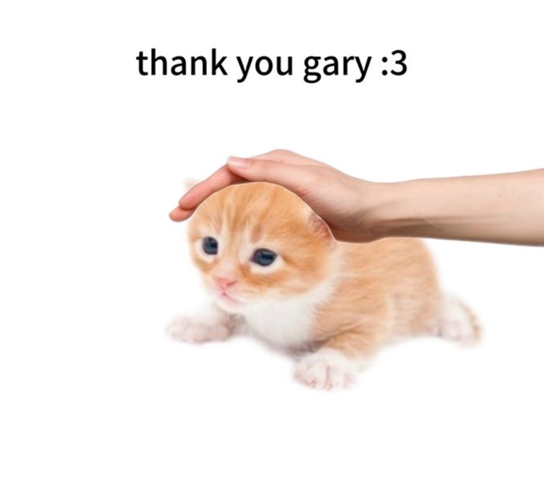 Liz Ana Elle tweet media