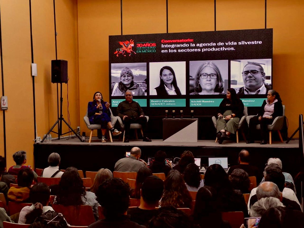 FondoMexicano's tweet photo. En el marco de los 30 años de #Endesu, Ana Laura Barillas de FMCN, participó en un panel junto con @Agricultura_mex, @SemadetJal y #GIZ, donde se conversaron los avances y retos de la conservación de la vida silvestre en México. 🔗https://t.co/CabLKQPIqX https://t.co/RBdWOmXO76