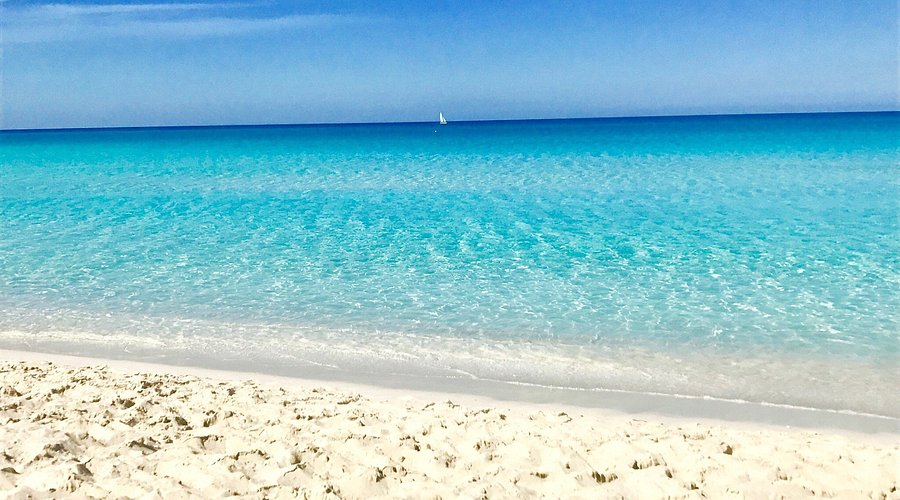 Cusmamx's tweet photo. ¿Sabías que hay playas que cambian de tamaño según la temporada? 😱 https://t.co/vC2k54rJZe